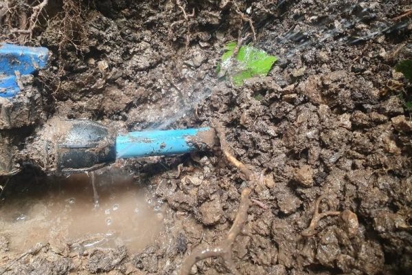 Water Mains Leak Detection Reading